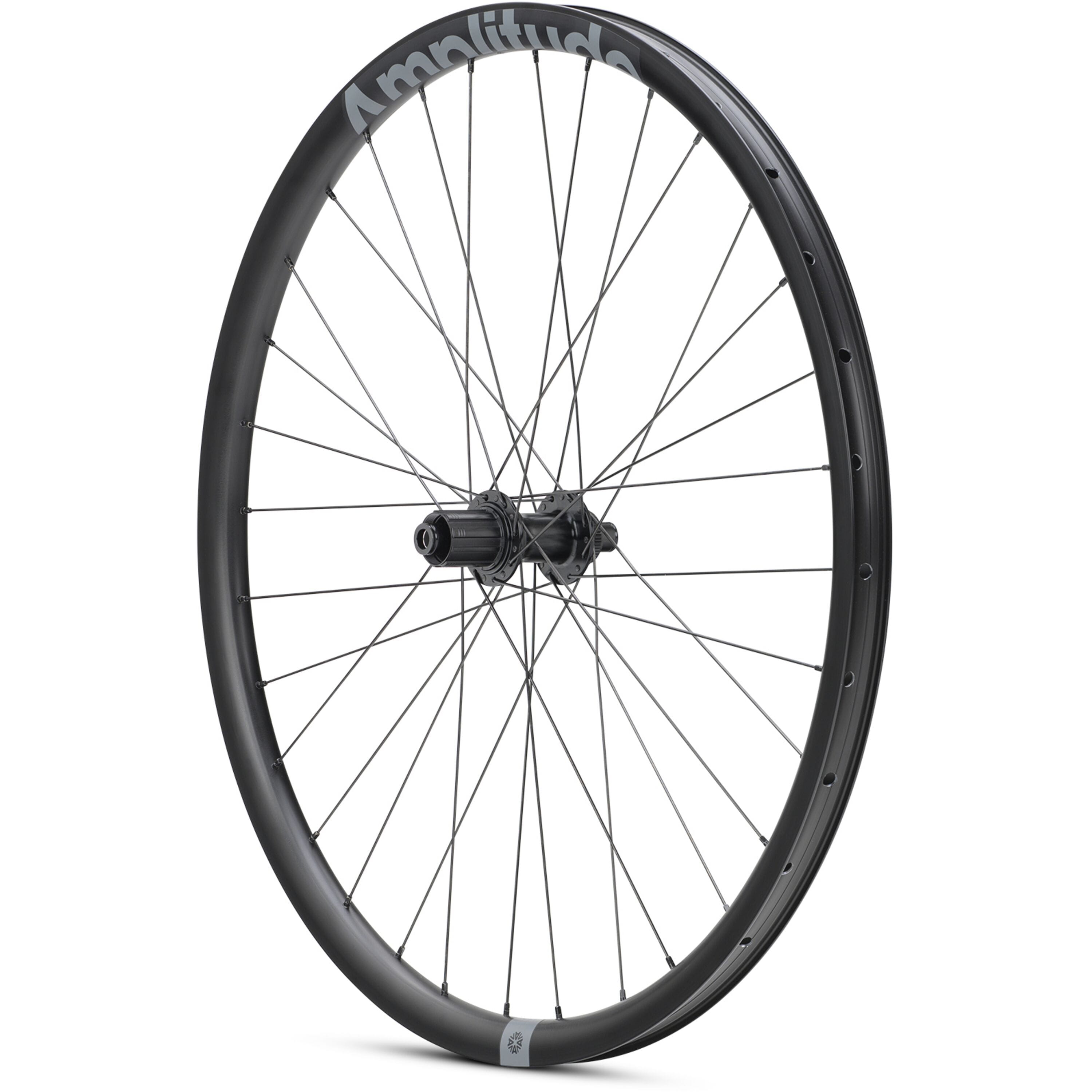 G100 Rear Wheel 700c 12x142mm Centre Lock Disc Tub