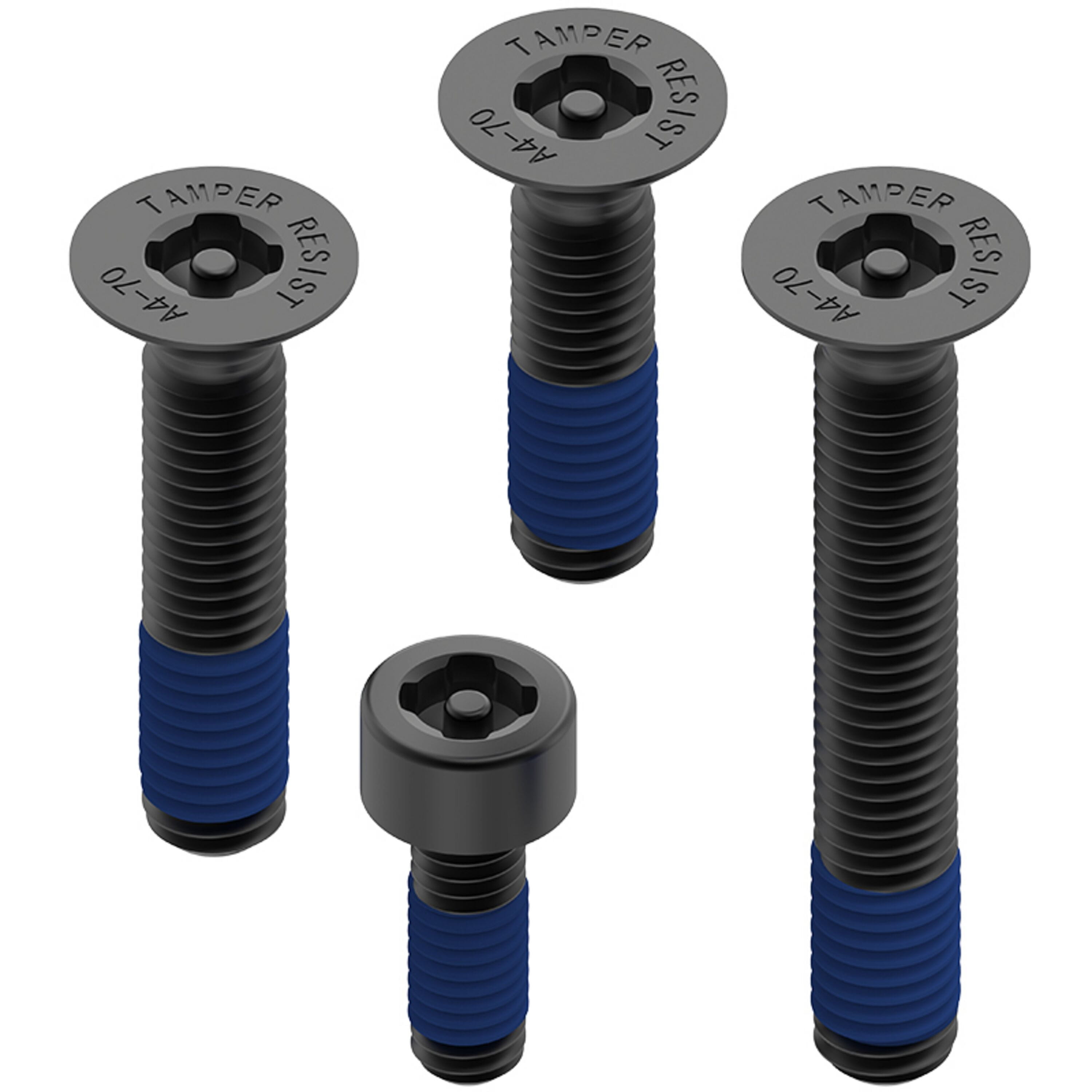 Anti Theft Screws