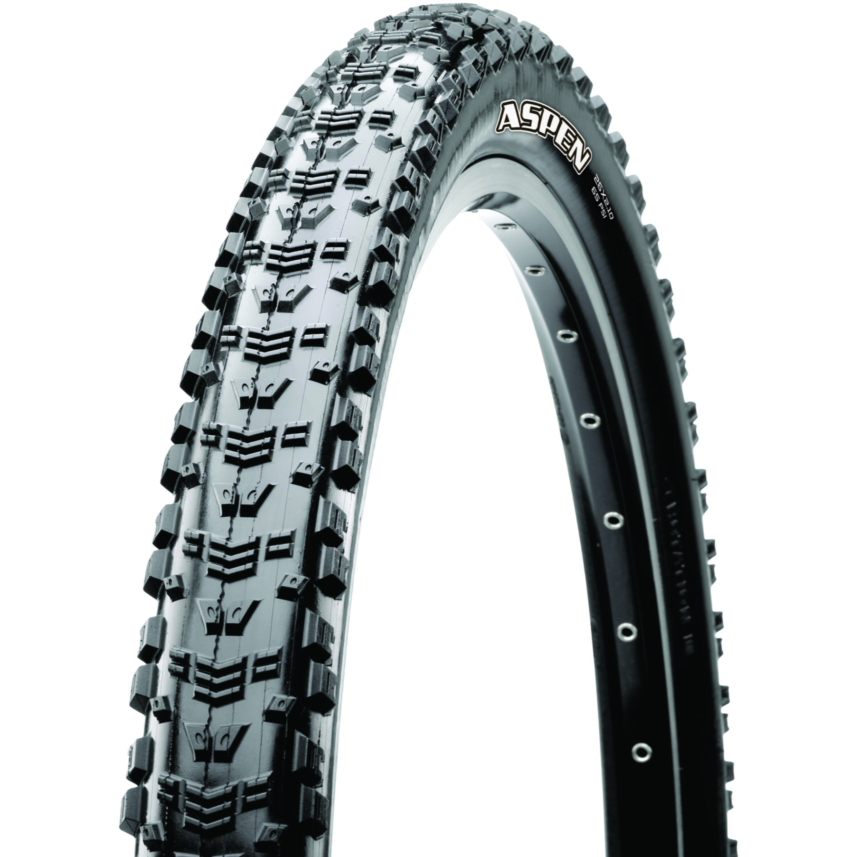 Aspen 29 x 2.25 120 TPI Folding Dual Compound EXO
