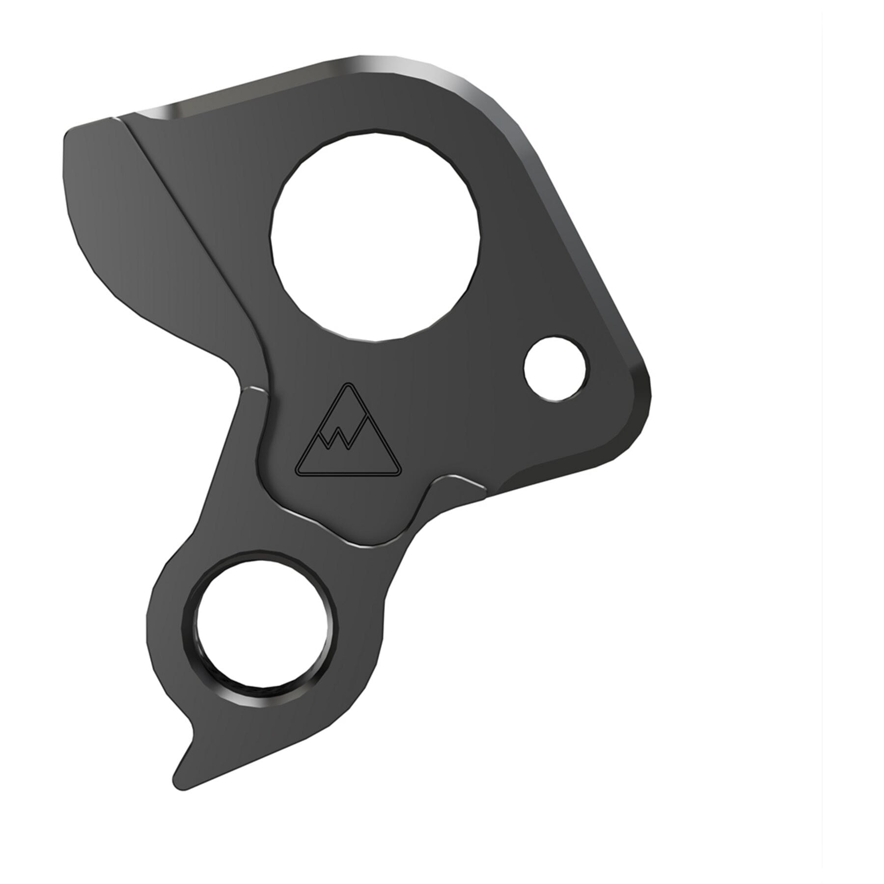 Replaceable Derailleur Hanger / Dropout 647