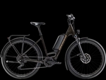 Trek Zing Trip Core.II 800