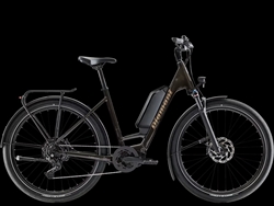Trek Zing Trip Core.II 800