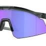 Oakley Radar EV Path Sunglasses