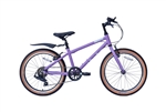 raleigh pop 20