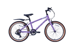 raleigh pop 20