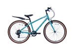 Raleigh Pop 24 2027