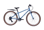 raleigh pop 26