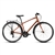 Ridgeback Speed Bike 2025