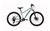Bianchi XR24  24"