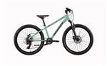 Bianchi XR24  24"