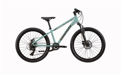Bianchi XR24  24"