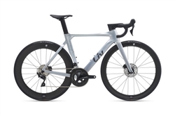 Giant Enviliv Adv Pro 2 2024