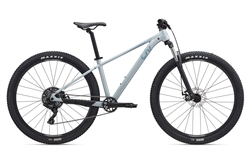 Giant Liv Tempt 4 2021